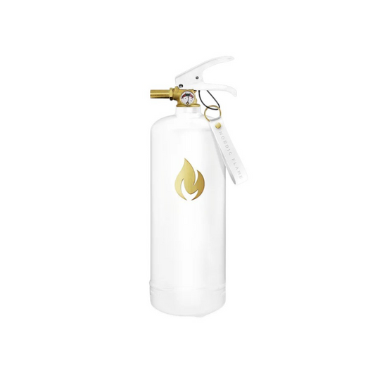 Extintor de Incêndio Gold Edition 2Kg