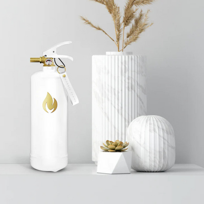 Extintor de Incêndio Gold Edition 2Kg