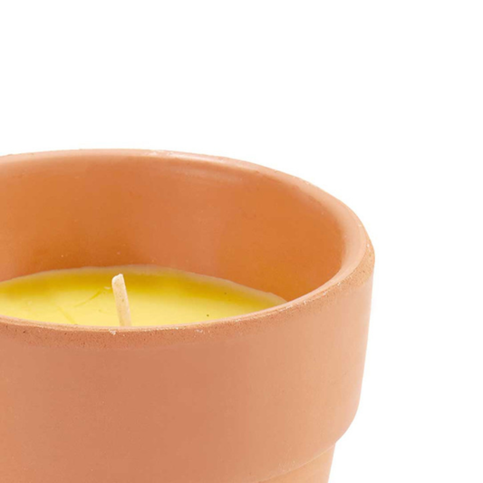 Anti-Mosquito Citronella Candle in Clay Pot