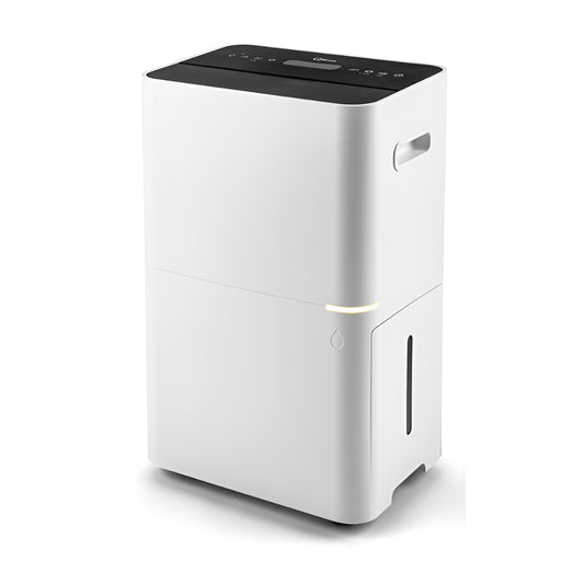 Desumidificador + Purificador D820 A SMART