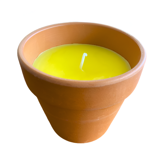 Vela de citronela antimosquitos en maceta de barro